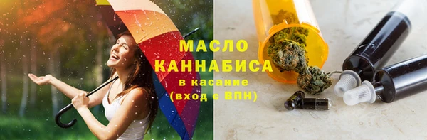 молекула духа Осташков
