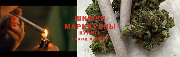 молекула духа Осташков