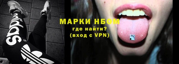 молекула духа Осташков