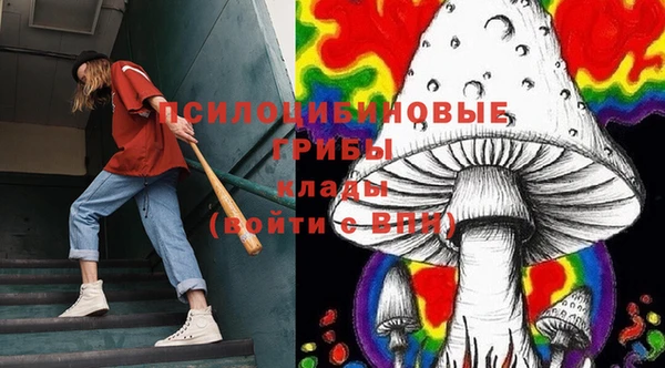 молекула духа Осташков