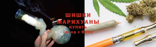 молекула духа Осташков