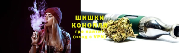 молекула духа Осташков