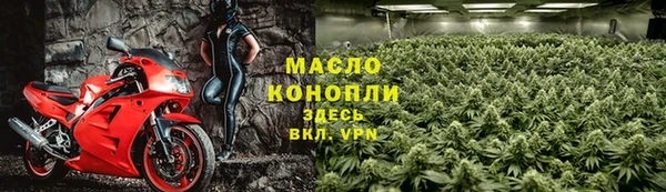 молекула духа Осташков