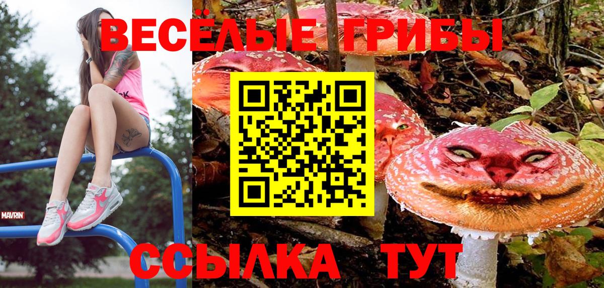 Псилоцибиновые грибы Psilocybine cubensis  Псилоцибиновые грибы Cubensis  Кондопога  Вход с VPN 