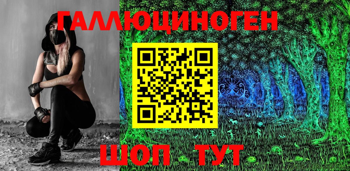 Псилоцибиновые грибы Psilocybine cubensis  Кондопога 