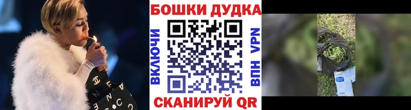 где можно купить наркотик Кондопога Шишки марихуана индика